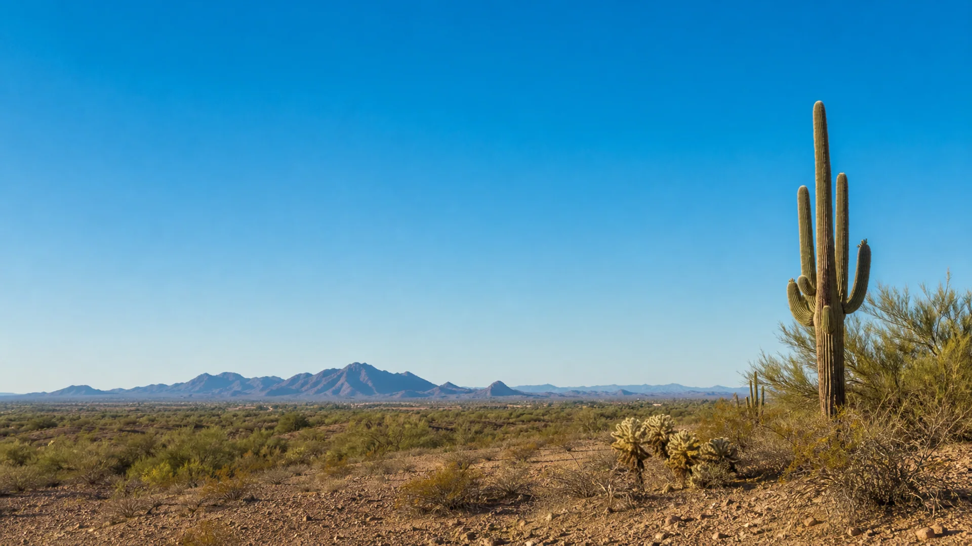 Clear blue sky over the Maricopa desert in daylight